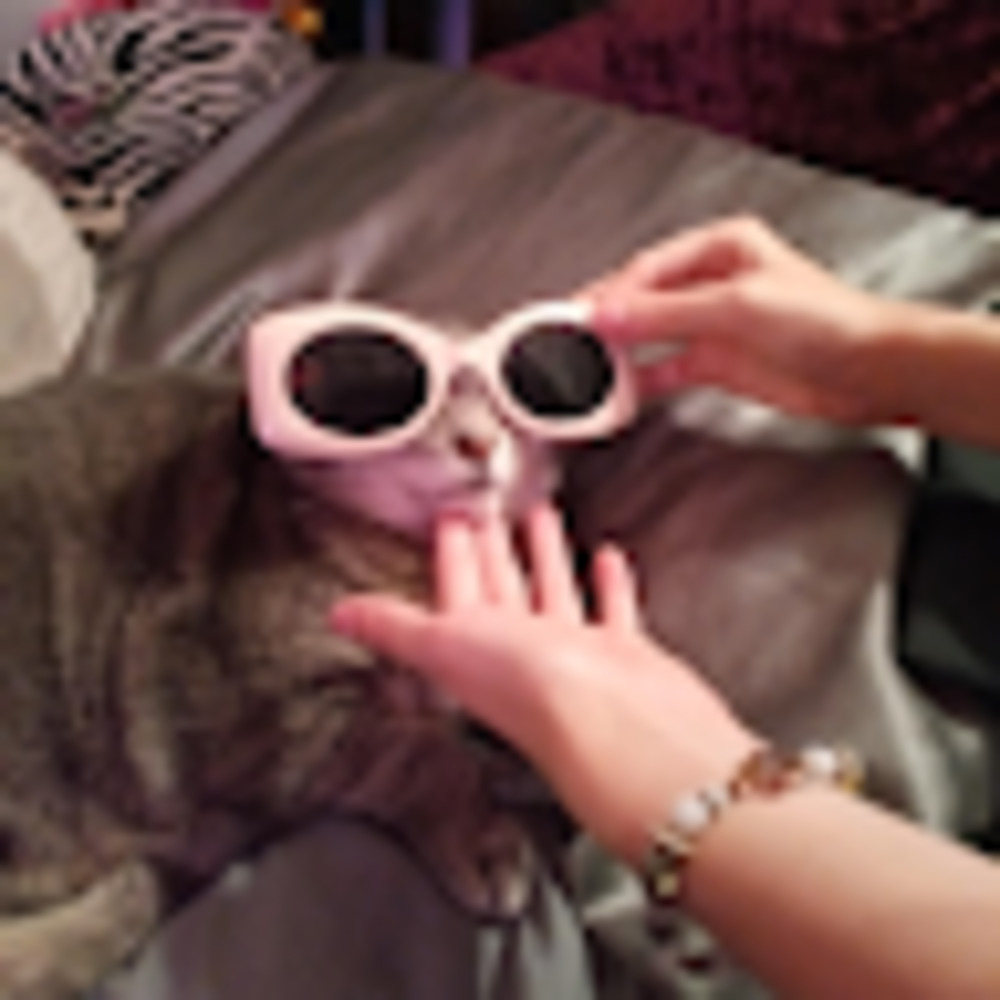 Meet your Posher, Nyla